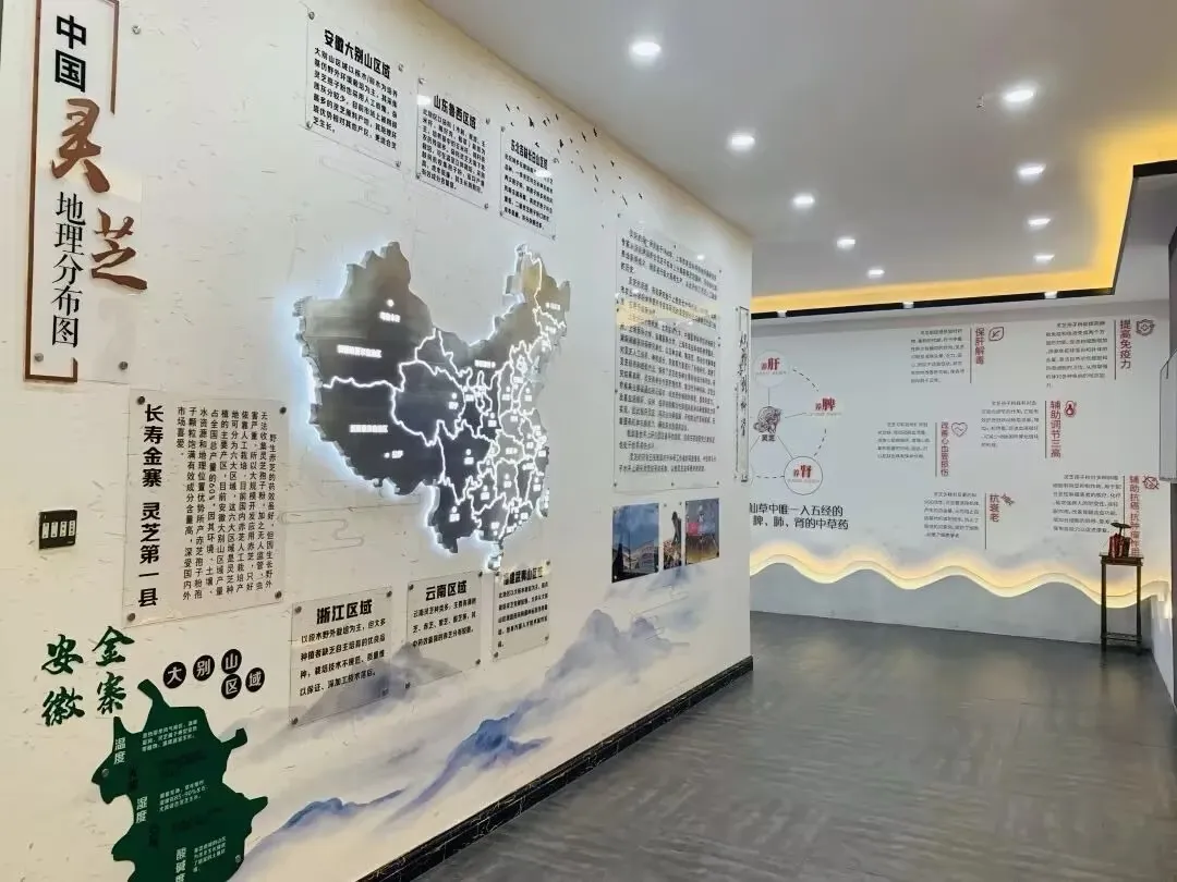 图片10